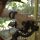 Why Video is the ‘Go To’ Business Asset
